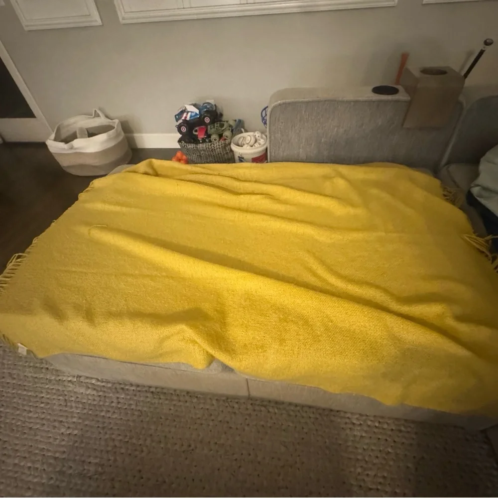 West Elm 50x60 throw blanket